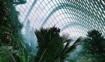 Espai interior amb vegetació