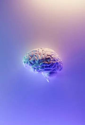 Neuroarquitectura