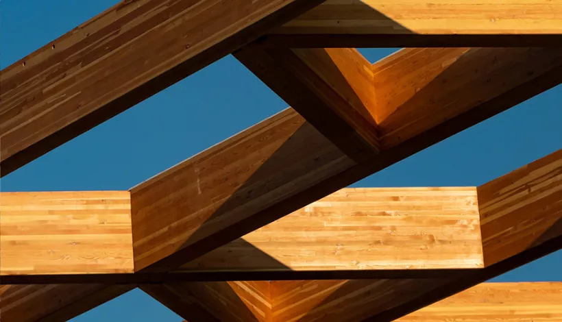 Ciclo sobre la madera constructiva Escola Sert COAC