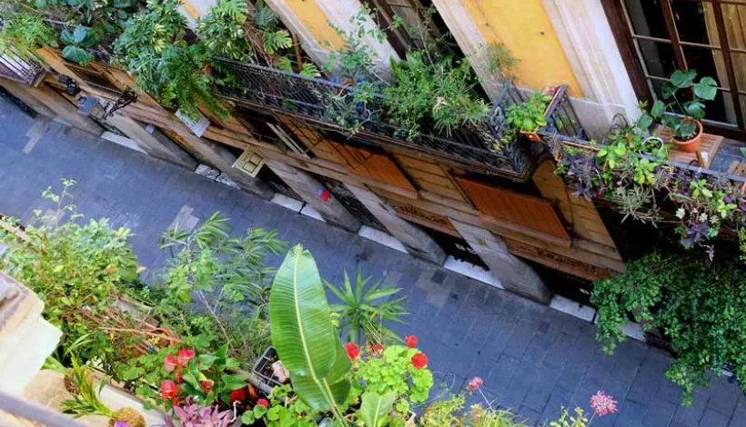 Terraza Barcelona