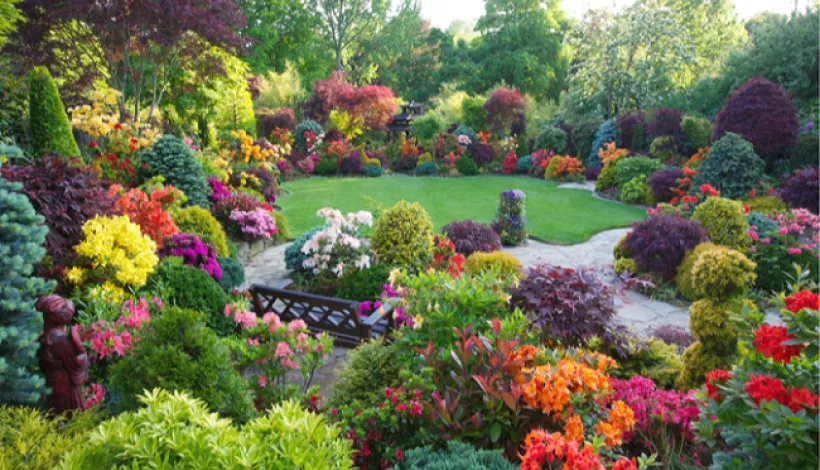 Jardín