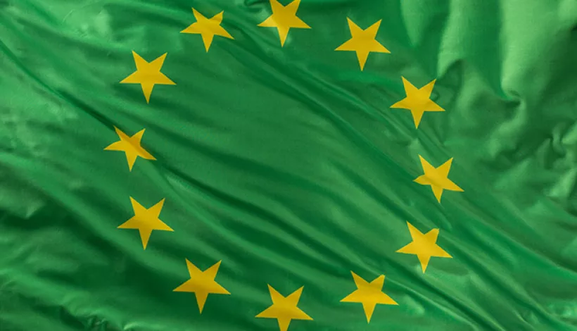 Bandera verde de la UE