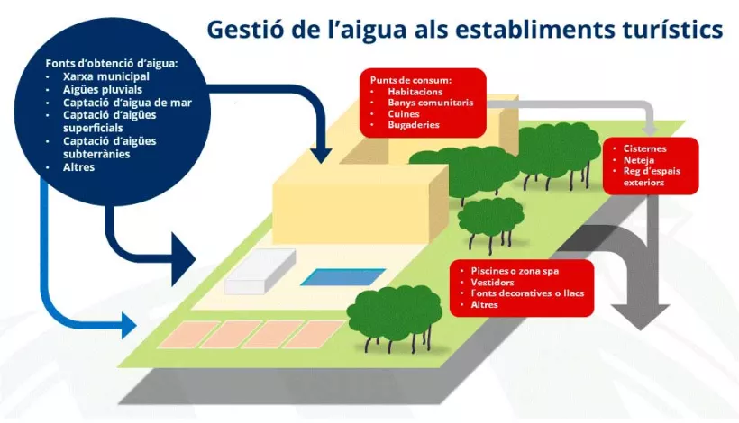 cartell de la jornada