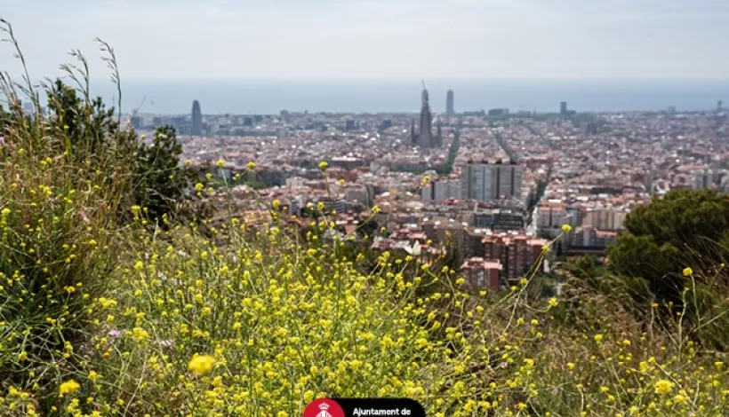Vistes de Barcelona