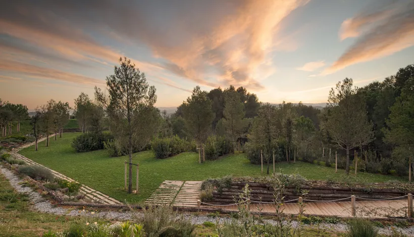 Projecte Batlleiroig - Camí del bosc - Roques Blanques - El Papiol, Barcelona