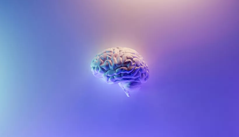 Neuroarquitectura
