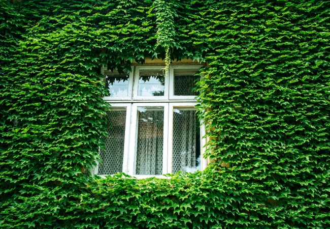 Postgrau arquitectura i salut
