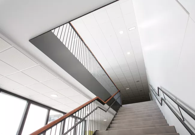 Placo- Saint Gobain