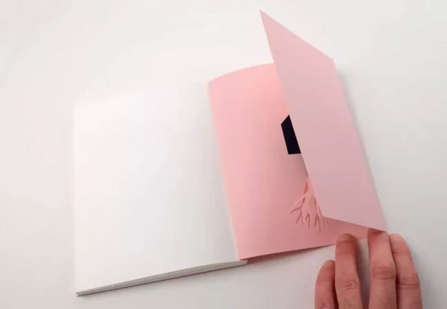 Primera propuesta de lectura