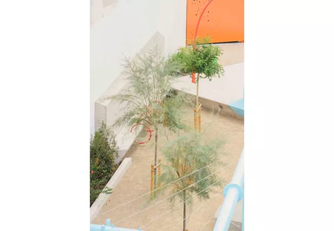 En los jardines urbanos, la vegetación crece libre en tiempos de confinamiento