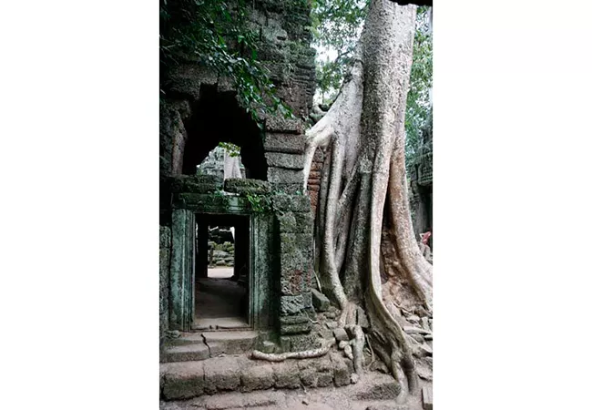 Templo de las racaíces de Ta Prohm