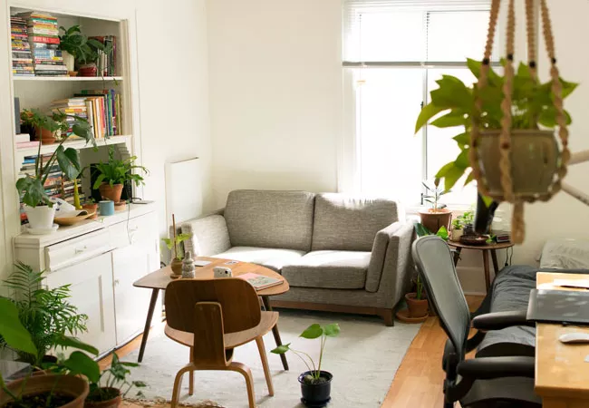 Curs de feng shui