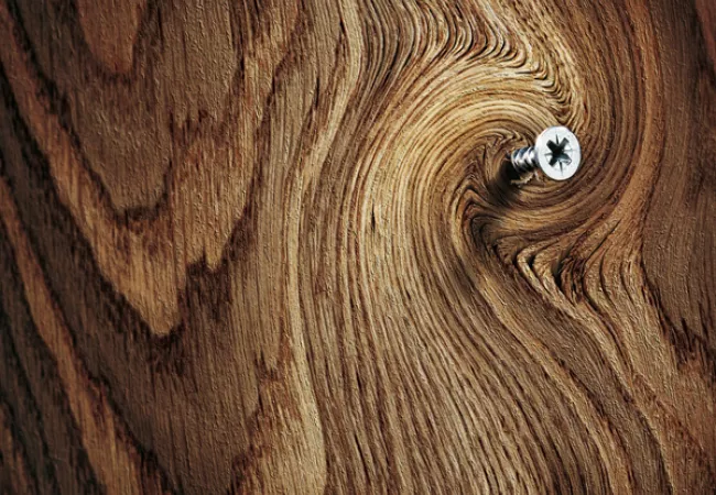 Sesión Sert donde se hablará de la madera como gran material de construcción