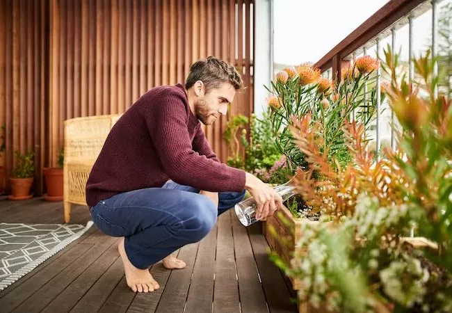 Las plantas ayudan a un habitat sostenible