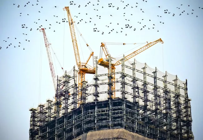 Grúas de obra con una bandada de pájaros