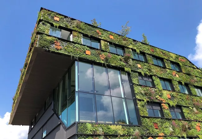 Vegetación en la fachada de un edificio