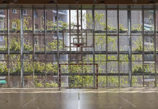 Pista de baloncestos en el CEM Turo de la Peira