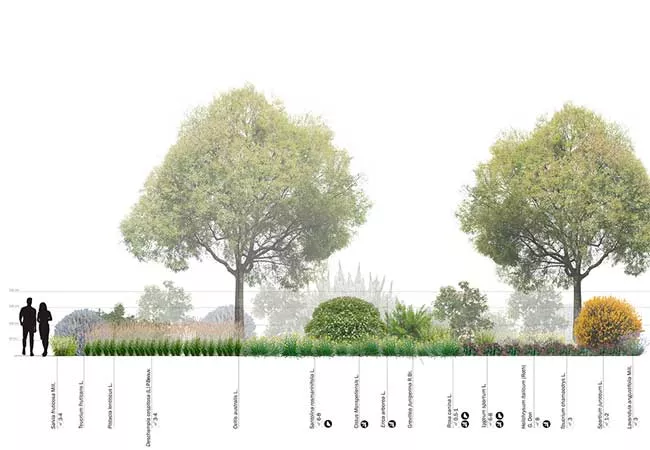 Proyecto de Jardín Mediterráneo en Barcelona