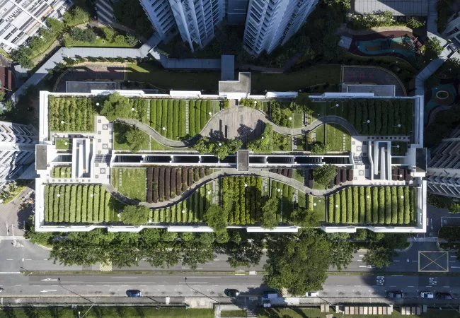 Vista aérea de una zona verde urbana