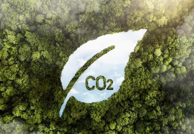Vista de árboles con representación de CO2