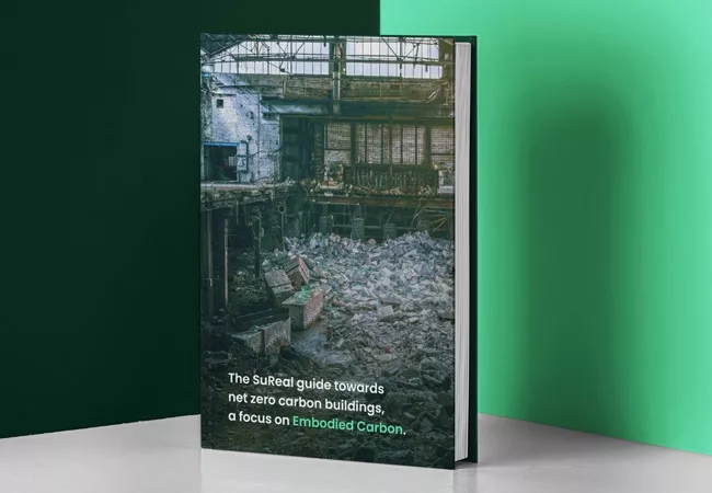 Libro Towards Net Zero