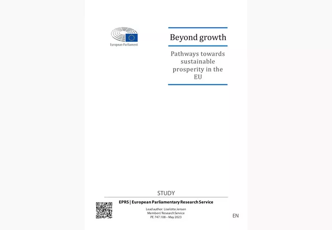 Portada de libro beyond growth