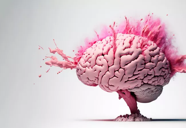 Post ebook neuroarquitectura