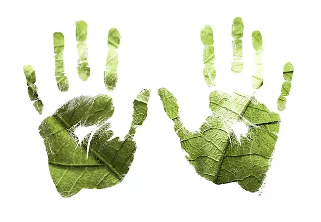 Representación visual de la huella de carbono