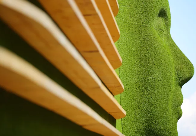 Detalle de madera natural cubierta de musgo verde, ejemplo de material biosférico que ilustra el concepto de ecomateriales y la integración sostenible entre materiales de construcción y naturaleza.