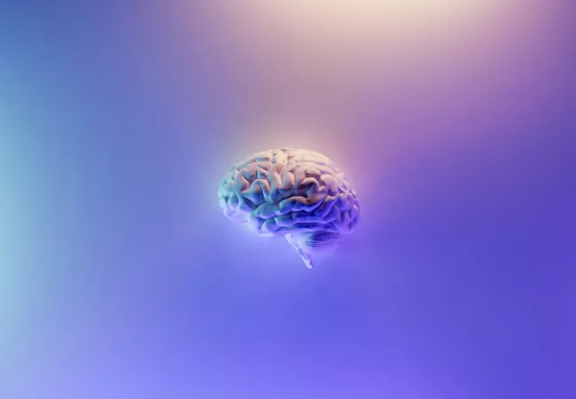 Neuroarquitectura