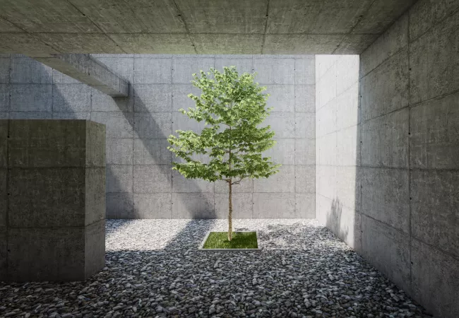 Patio interior de hormigón visto con un árbol en el centro, ejemplo de integración de naturaleza y construcción sostenible