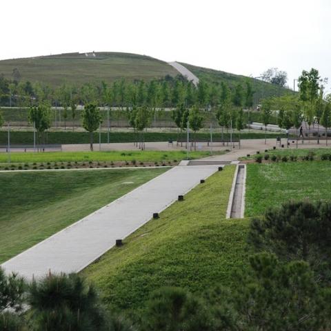 Curso paisaje Escola Sert