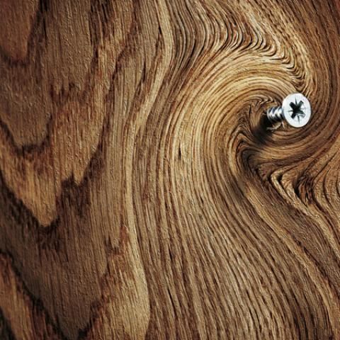 Sesión Sert donde se hablará de la madera como gran material de construcción
