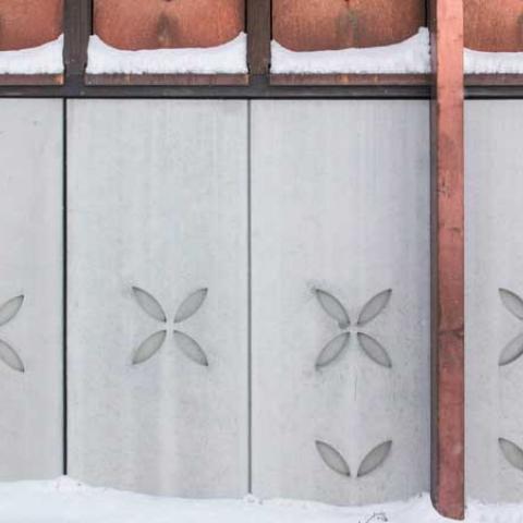 Puerta con nieve