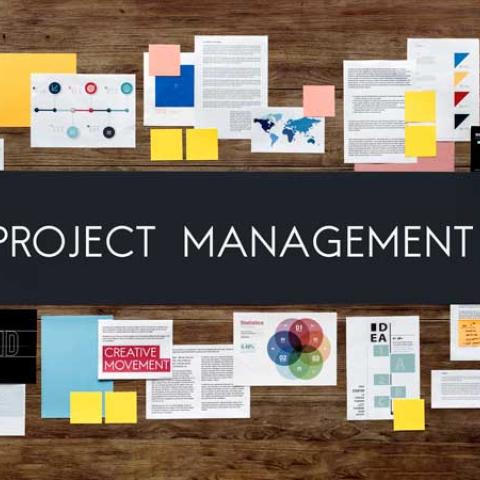 Representación del concepto Project Management