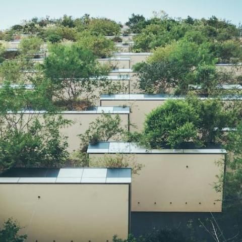 Contrapicado de un edificio con abundantes plantas en los balcones