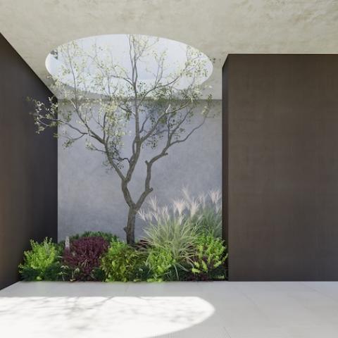 A house build with neuroarchitecture criteria