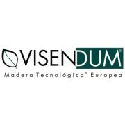 Logo Visendum
