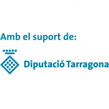 logo-dipta-suport_02.png