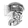 Dibujo de Ernst Mach