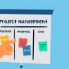 Curso final de proyecto 